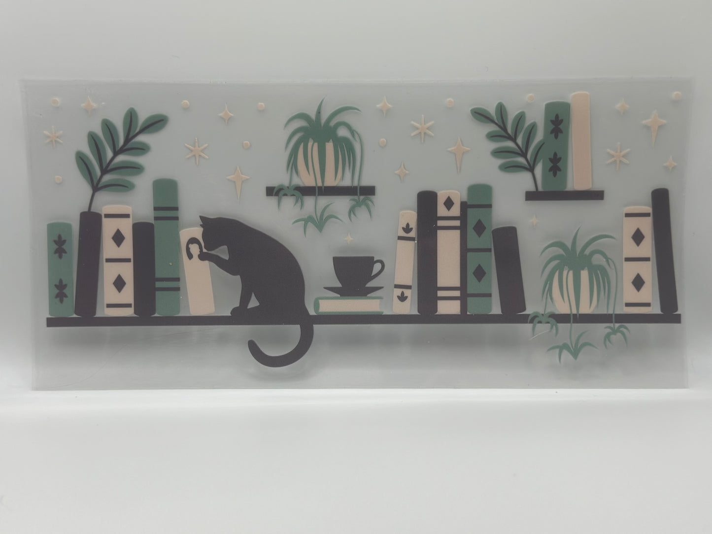 Cat Bookshelf