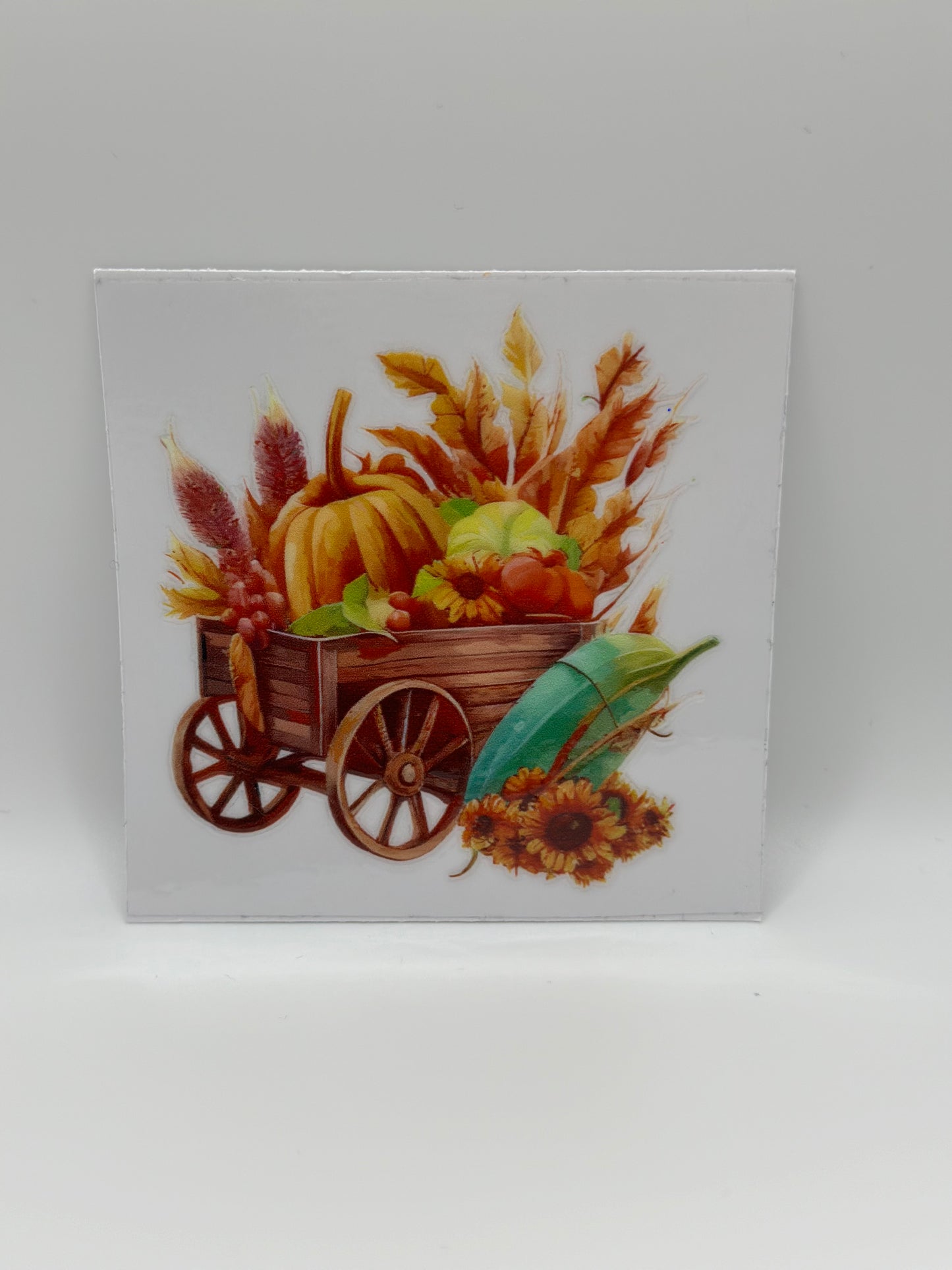 Fall & Autumn Wraps