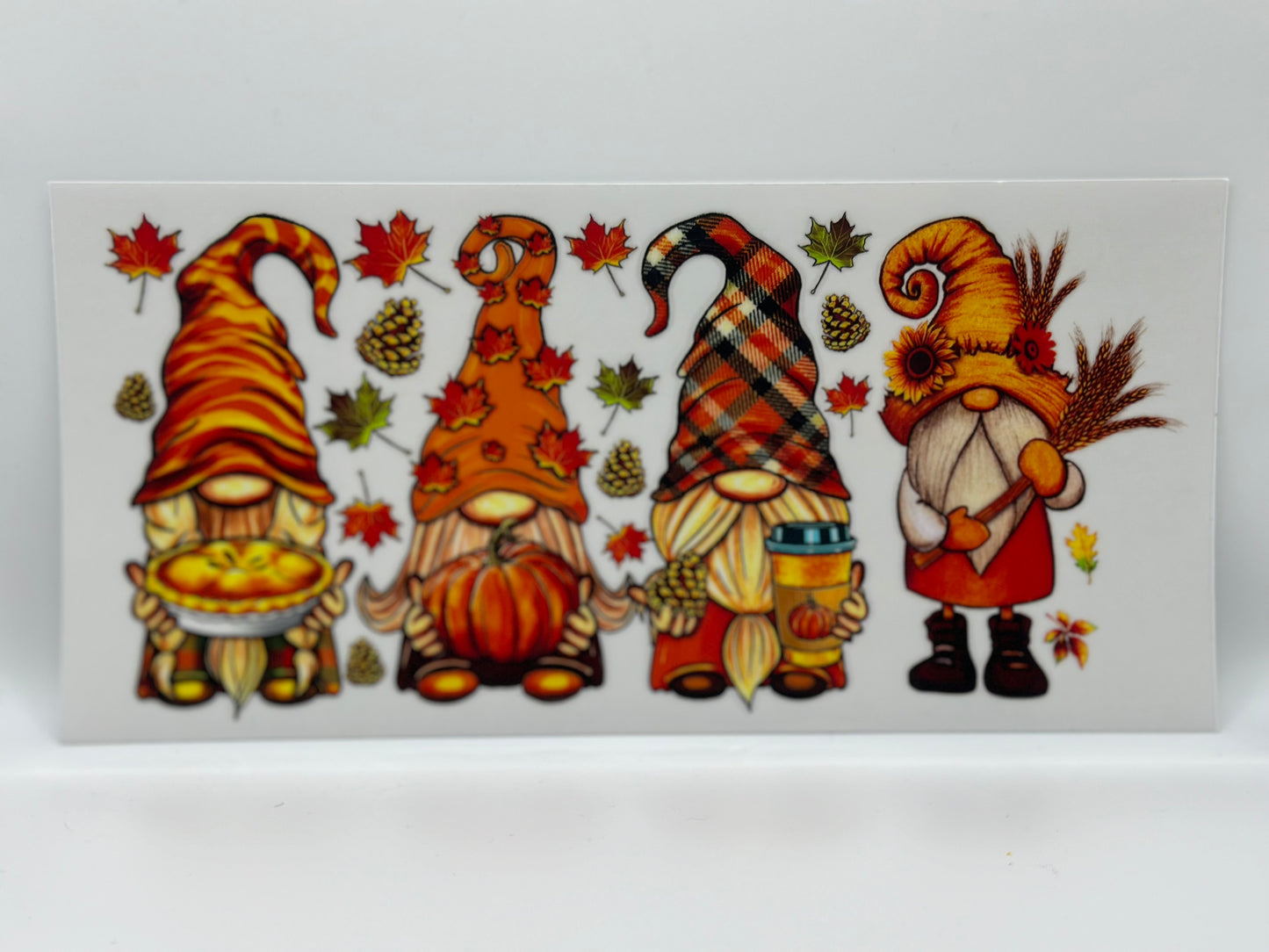 Fall Gnomes 2